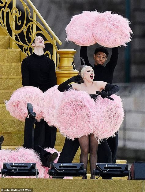 dior rosa bustierkleid lady gaga|lady gaga singing.